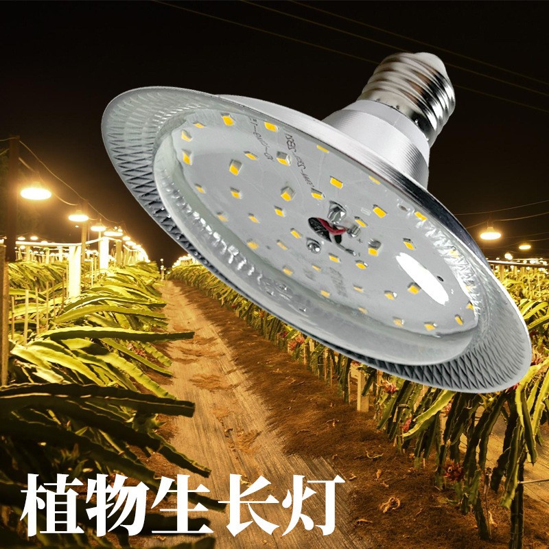 植物生长灯与普通灯的区别：专业照明助力植物生长