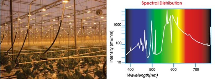 一体化内反射型植物生长灯案例实拍和光谱图